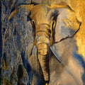 Animals mixed-media painting titled 'Elephantine Expression 1', 84x66 inch, by artist Ruchi Singhal on Canvas