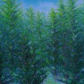 Nature oil painting titled 'Enchanted Pines', 36x72 inches, by artist Pardeep Singh on Canvas