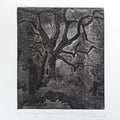 Entangled Origens' nature etching printmaking by artist Ankit Kushwaha, 8x6 inch, on paper