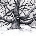 'The Eternal Bough' nature ink drawing by artist Ankit Kushwaha, 6x8 inch, on paper
