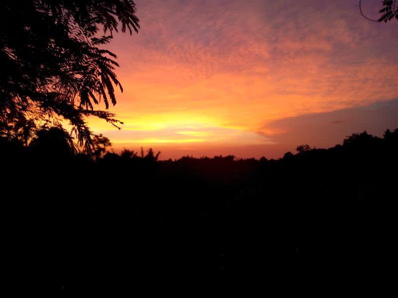 Nature photography titled 'Evening Sunset', 11x15 inches, by artist Mrinmoy Gogoi on