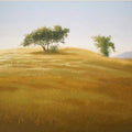 Landscape oil painting titled 'Faraway Tree', 16x22 inches, by artist Fareed Ahmed on Canvas Board