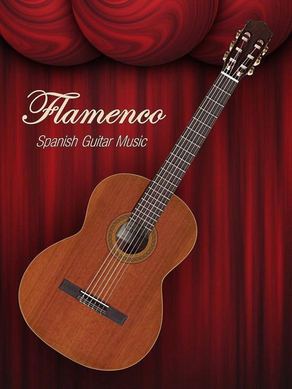 Flamenco Spanish Guitar Music Photography by Shavit Mason | ArtZolo.com