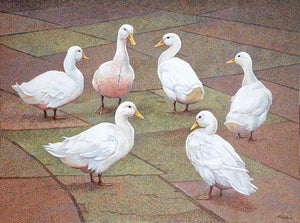 Friend Circle (Duck Conference) by Gopal Nandurkar, Original Acrylic Animal Painting on Canvas, Medium Horizontal Wall Art