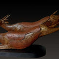 Friendship' animals Bronze, Wood sculpture by artist Subrata Paul, 24x48 inch, on bronze, wood