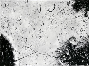 Nature charcoal painting titled 'From my sunroof', 24x18 inches, by artist Sripriya Mozumdar on Paper