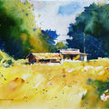 Golden Meadow' nature watercolor painting by artist Soven Roy, 14x20 inch, on paper