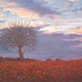 Landscape oil painting titled 'Good evening', 20x16 inches, by artist Fareed Ahmed on Canvas Board