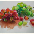 Still-life watercolor painting titled 'Grapes', 16x12 inches, by artist Dr.uday Bhan on Paper