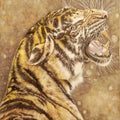 Growl' animals watercolor painting by artist Anjana Sihag, 12x9 inch, on paper