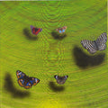 Happy Vibration 37' animals acrylic painting by artist Ghanshyam Gupta, 24x24 inch, on canvas