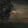 His Greed Was His Undoing 2' contemporary mixed-media painting by artist Sajith Puthukkalavattom, 12x17 inch, on paper