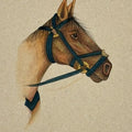 Horse 1' animals miniature Traditional Art by artist Unknown, 8x5 inch, on paper