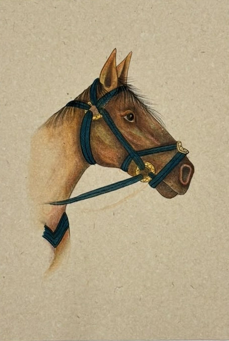 Horse 1' animals miniature Traditional Art by artist Unknown, 8x5 inch, on paper