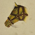 Horse 2' animals miniature Traditional Art by artist Unknown, 7x5 inch, on paper