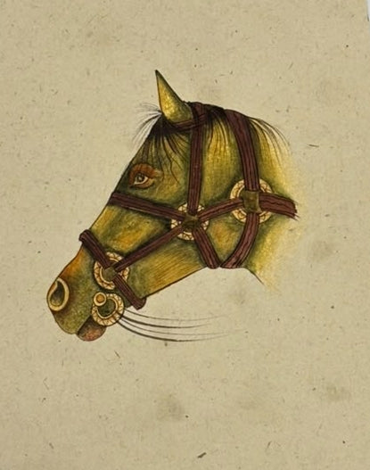 Horse 2' animals miniature Traditional Art by artist Unknown, 7x5 inch, on paper