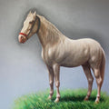 Animals charcoal painting titled 'Horse', 36x48 inches, by artist Yuvraj Patil on Canvas