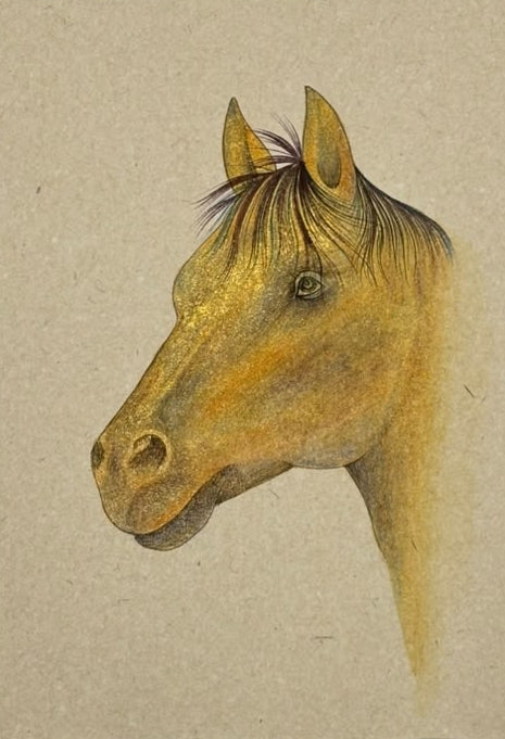 Horse 3' animals miniature Traditional Art by artist Unknown, 8x6 inch, on paper