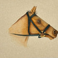 Horse 4' animals miniature Traditional Art by artist Unknown, 5x8 inch, on paper