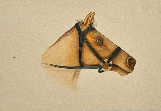 Horse 4' animals miniature Traditional Art by artist Unknown, 5x8 inch, on paper