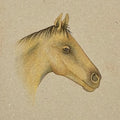 Horse 5' animals miniature Traditional Art by artist Unknown, 7x5 inch, on paper