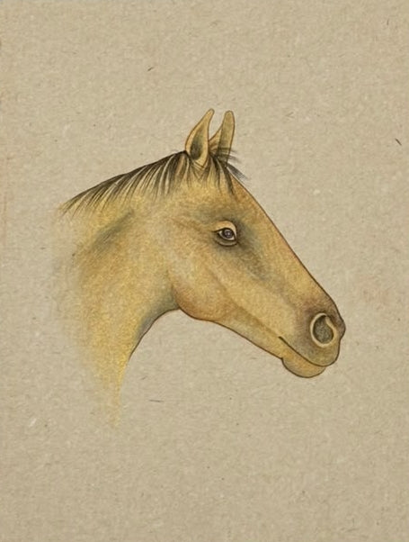 Horse 5' animals miniature Traditional Art by artist Unknown, 7x5 inch, on paper