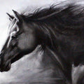 Animals charcoal drawing titled 'Horse Charcoal', 20x12 inches, by artist Sundeep Kumar on Paper