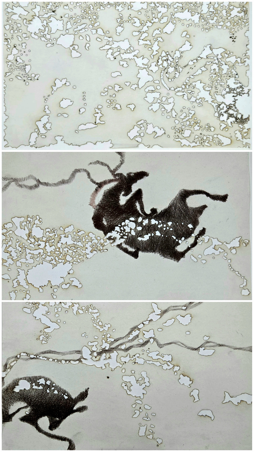 Kasturi Mrug Series 2' contemporary mixed-media painting by artist Shreya Wakle, 35x20 inch, on paper