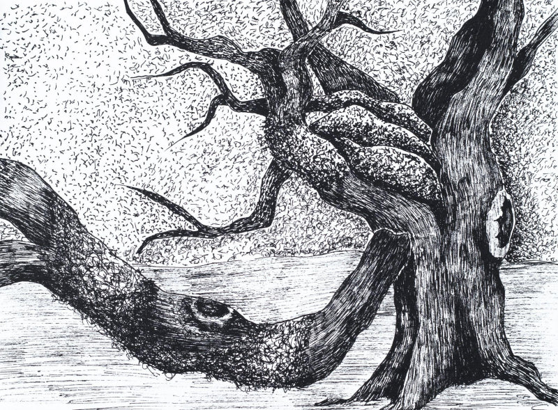 'Memory Tree' nature ink drawing by artist Ankit Kushwaha, 6x8 inch, on paper