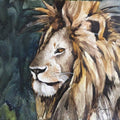 Animals watercolor painting titled 'Messy Mane', 11x15 inches, by artist Shagufta Mehdi on Paper