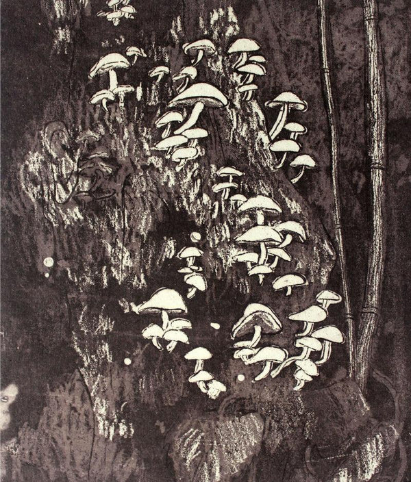 Mushrooms In The Woods 4 Printmaking by Prachi Sahasrabudhe | ArtZolo.com