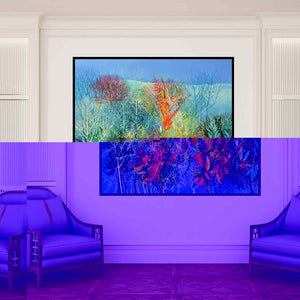 In-situ view of Kishore Kumar Sahu's 'My Village Garden Ii (My Village Garden II: A Symphony of Nature)' painting in a room