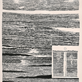 Nature 2' contemporary postercolor painting by artist Palash Chandra Baidya, 30x20 inch, on canson paper
