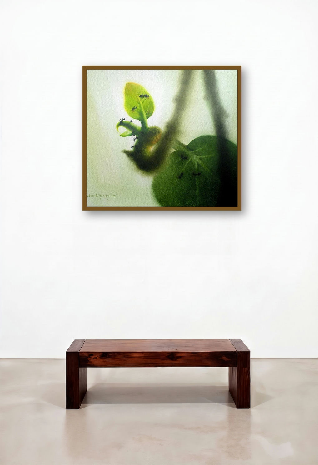 New Life (Ants on Leaves)