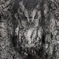 Owl' animals charcoal drawing by artist Preeti Ghule, 25x25 inch, on paper