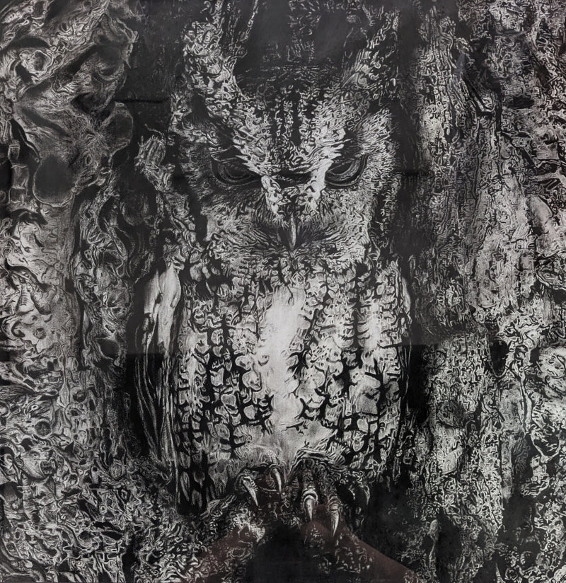 Owl' animals charcoal drawing by artist Preeti Ghule, 25x25 inch, on paper