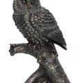 Animals handicraft titled 'Owl Sitting On Branch', 7x5x4 inches, by artist Brass Handicrafts on Polyresin, Bronze