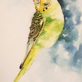 Parrot' animals watercolor painting by artist Anjana Sihag, 12x9 inch, on paper