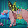 contemporary acrylic painting titled 'Pig 1', 48x60 inches, by artist Sanjay Kumar on Canvas