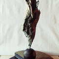 Figurative sculpture titled 'Point Of View', 17x9x9 inches, by artist Prasad Talekar on Bronze, Wood