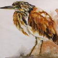Animals watercolor painting titled 'Pond Heron', 10x8 inches, by artist Anjana Sihag on Khadi Cotton Fabric