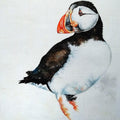 Animals watercolor painting titled 'Puffin', 9x8 inches, by artist Anjana Sihag on Khadi Cotton Fabric