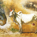 Punyakoti painting by Kudalayya Hiremath