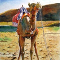 Animals watercolor painting titled 'Rajasthan', 17x14 inches, by artist Chetan Agrawal on Handmade Paper