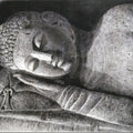 Figurative charcoal painting titled 'Reclining Buddha', 29x19 inches, by artist Preeti Ghule on Paper