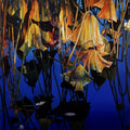 'Reflection' nature acrylic painting by artist Abid Shaikh, 36x36 inch, on canvas
