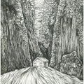 The Refuge' landscape pen-ink drawing by artist Ninoshka Dias, 17x12 inch, on paper