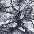 'Resting Canopy' nature ink drawing by artist Ankit Kushwaha, 8x6 inch, on paper