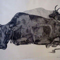 Animals ink drawing titled 'Resting Cow', 22x28 inches, by artist Kamalesh Salaskar on Paper