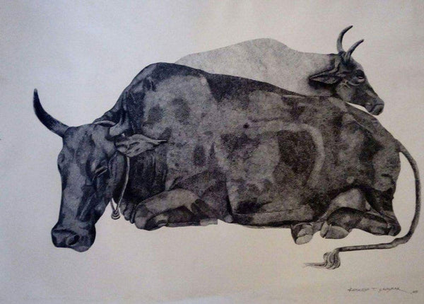 Resting Cow Drawing by Kamalesh Salaskar | ArtZolo.com